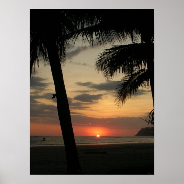 stranden handflatan poster (Framsidan)