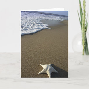 Stranden Kort