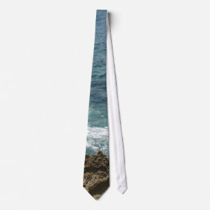 Stranden möter hav slips