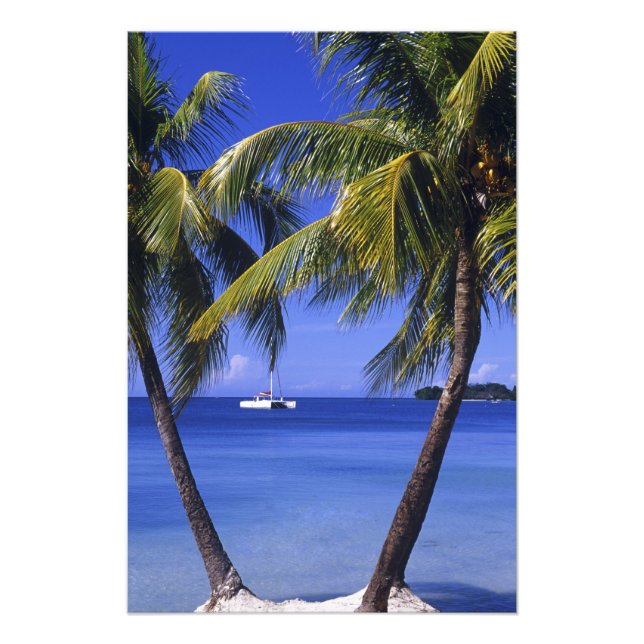 Stränder vid Negril, Jamaica Fototryck (Framsidan)