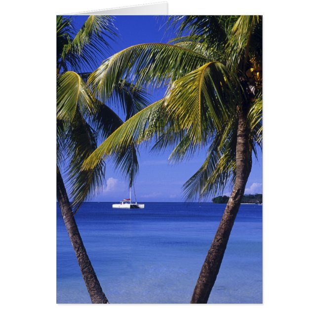 Stränder vid Negril, Jamaica Hälsningskort (Framsidan)