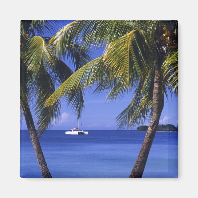 Stränder vid Negril, Jamaica Magnet (Framsidan)