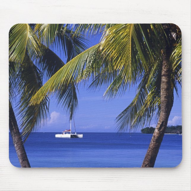 Stränder vid Negril, Jamaica Musmatta (Framsidan)
