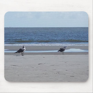strandfågel musmatta