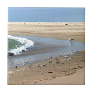 Strandfåglar Kakelplatta