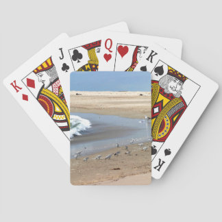 Strandfåglar Spelkort