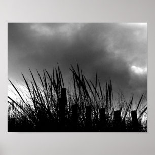 Strandgräs Poster