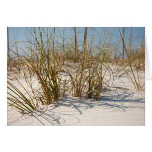 Strandgräskort OBS Kort