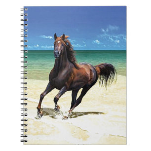 Strandhingstanteckningsbok Anteckningsbok Med Spiral