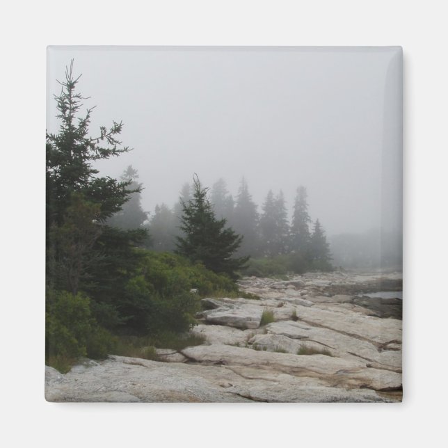 strandlinje magnet (Framsidan)