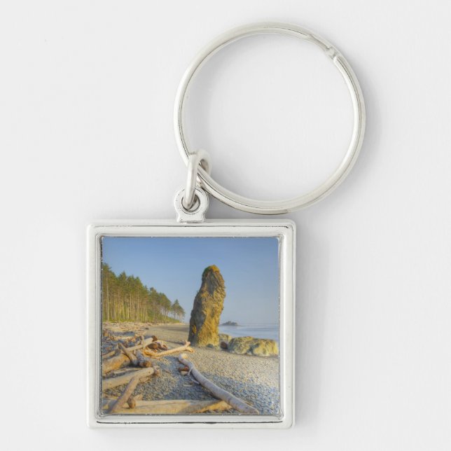 Strandlinje och havsstoder, Ruby Beach, Olympic Fyrkantig Silverfärgad Nyckelring (Framsidan)
