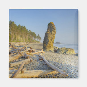 Strandlinje och havsstoder, Ruby Beach, Olympic Magnet
