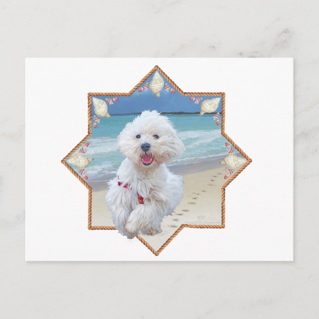 Strandlöpning Vykort (Framsida)