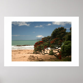 Strandlycka - Pohutukawa-träd Poster
