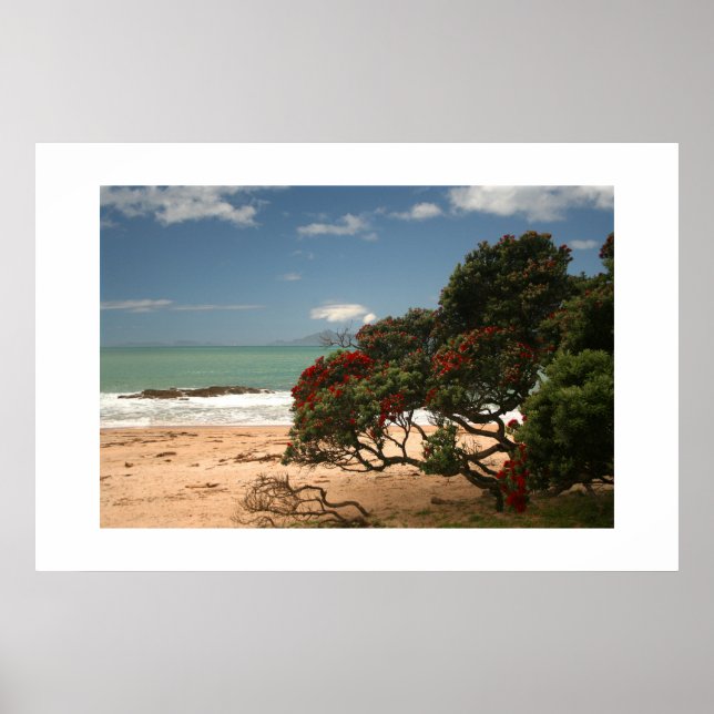 Strandlycka - Pohutukawa-träd Poster (Framsidan)