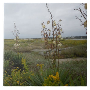 Strandmoln och vildblommar - Oakö, NC Kakelplatta