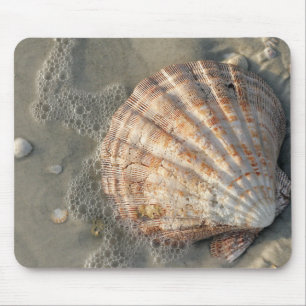Strandmusen vadderar musmatta
