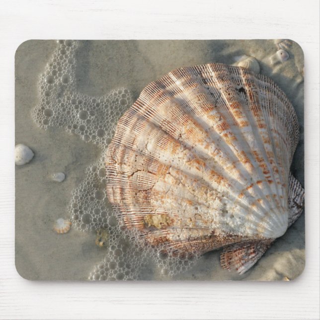 Strandmusen vadderar musmatta (Framsidan)