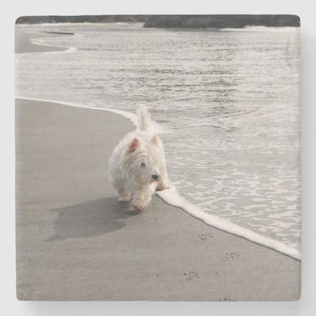 Strandnappande Westie Hund Foto Stenkoj Stenunderlägg (Framsidan)