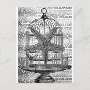 strandordlista tryckt steampunk Birdcage Starfish Vykort