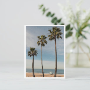 Strandpalmträd & Livräddarentorn Los Angeles Vykort