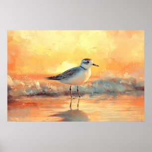 Strandpipare Stående i Havsvågor Under Solnedgång Poster