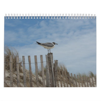 Strandplatser kalender för 19 månad 2011-2012