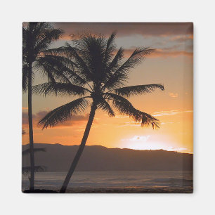 strandplatspalmträd magnet