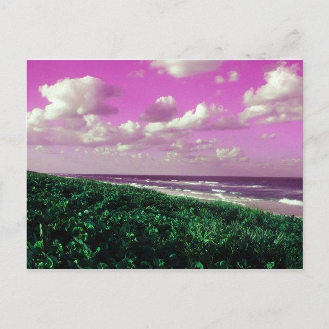 strandpostkort vykort (Framsida)