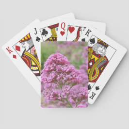 Strandruta Casinokort