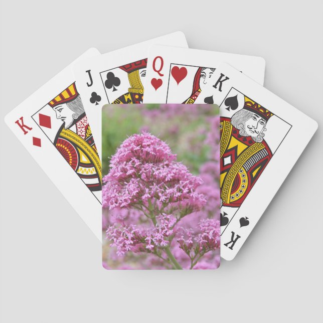 Strandruta Casinokort (Baksidan)