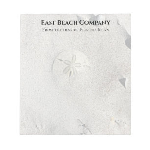 Strandsanddollar Bakgrund Tomt block