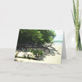 strandsatt 8x10 2 kort