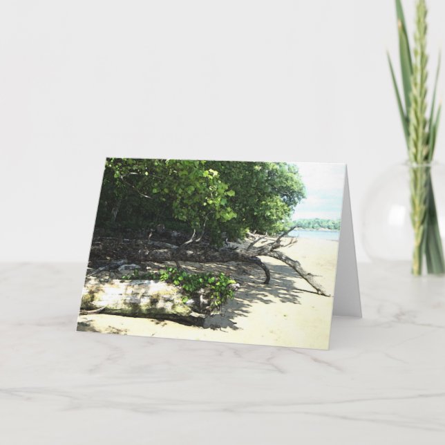 strandsatt 8x10 2 kort (Framsida)