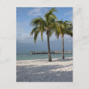 strandscen nyckel Largo Florida Vykort