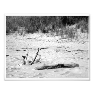 strandscenen sjö Michigan Fototryck