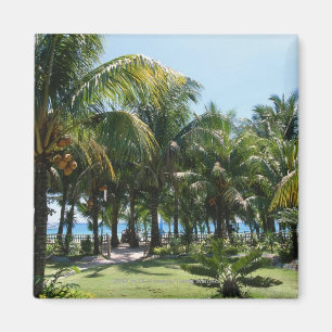 Strandsemesterort Magnet