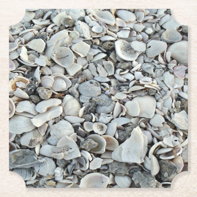 Strandskalsspridning Underlägg Papper (Framsida)