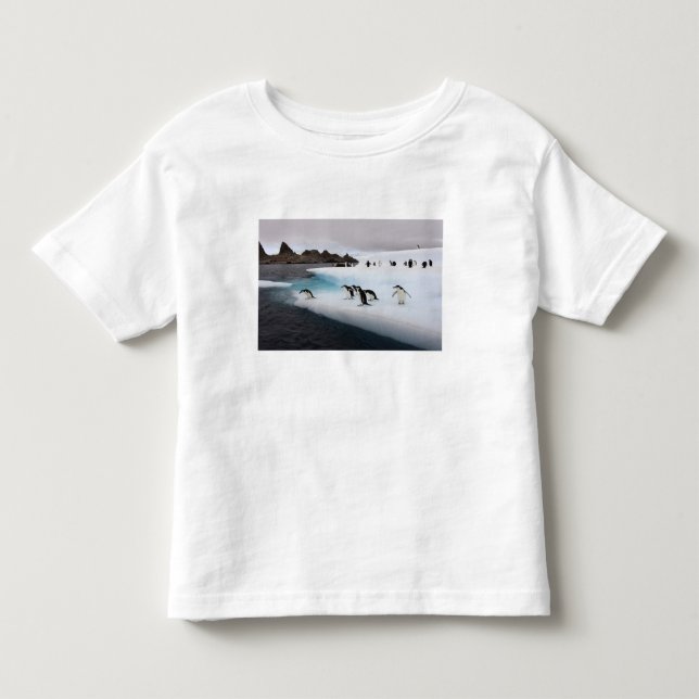 Strandskata pingviner tee (Framsida)
