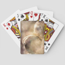 Strandskatt som leker kort