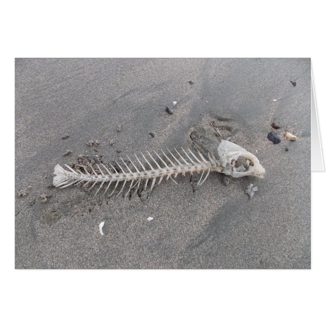 Strandskelett OBS Kort (Framsidan Horizontal)