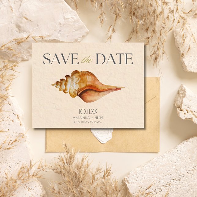 Strandsnäckstrand Bröllopsdestination Spara datum Meddelande Vykort (Seashell Beach Destination Wedding Save the Date postcard)