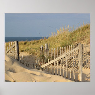Strandstaket i dynerna poster