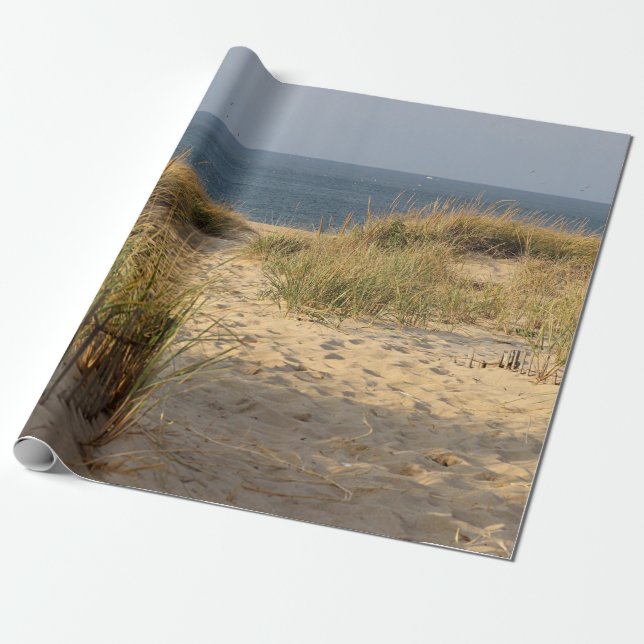 Strandstaket i sanddynerna presentpapper (Utrullad)