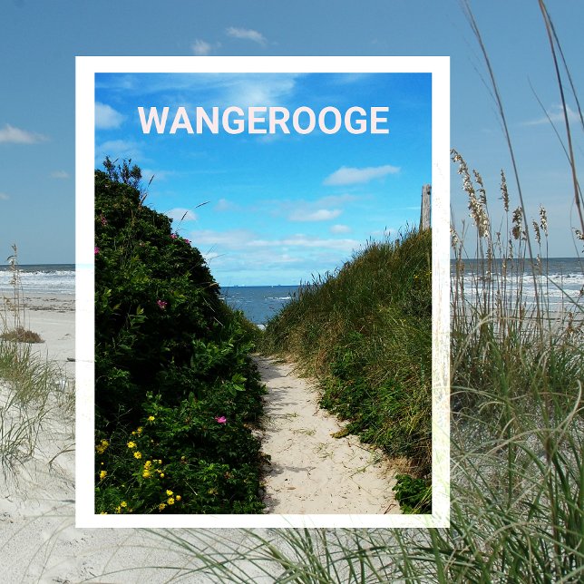 Strandstig, sanddyner, Wangerooge, Ostfriesland Vykort (Skapare uppladdad)