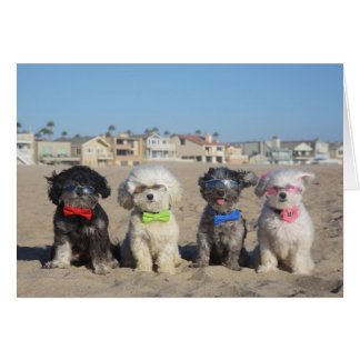 Stranduppehälle Hälsningskort