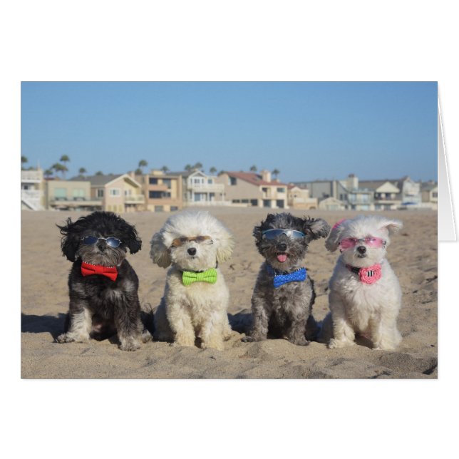 Stranduppehälle Hälsningskort (Framsidan Horizontal)