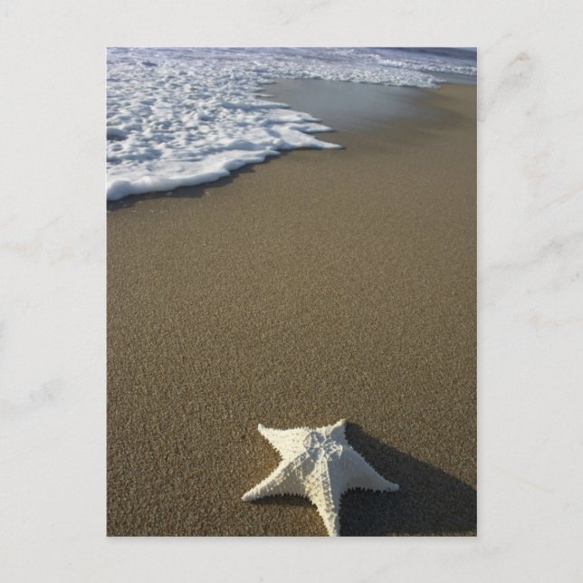 Strandvykortet Vykort (Framsida)