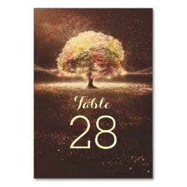 Sträng Bordsnumren Ljus Träd Bröllop Bordsnummer