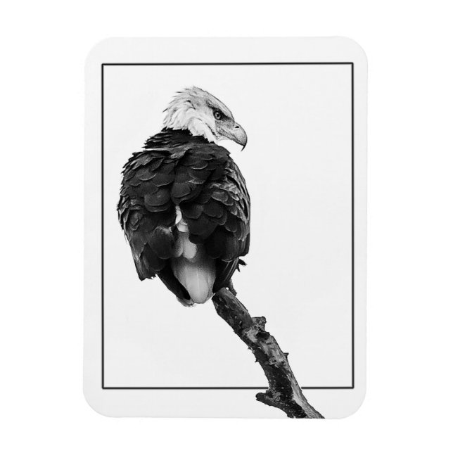 Sträng havsörn magnet (Vertikal)